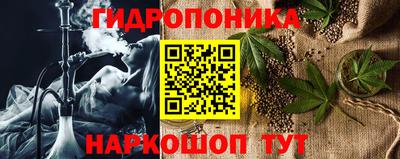 прущие грибы Лесосибирск
