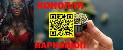 прущие грибы Лесосибирск
