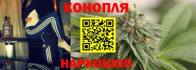 прущие грибы Лесосибирск