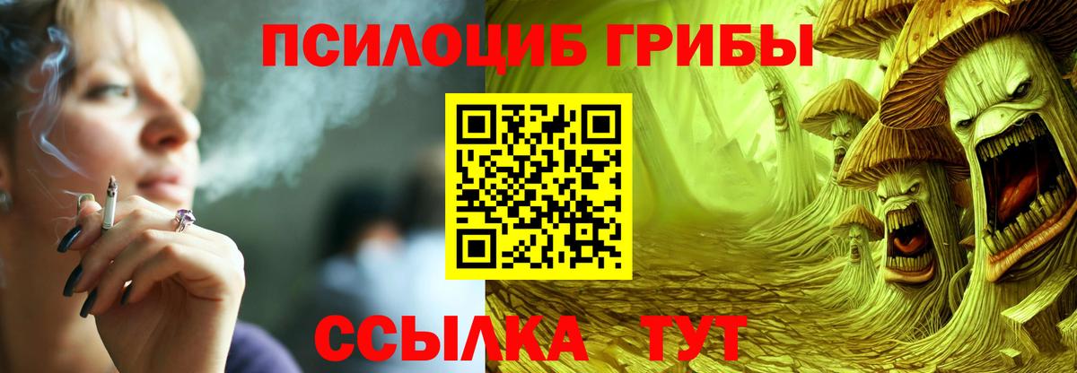 Черкесск  Галлюциногенные грибы Psilocybine cubensis  Вход с VPN 
